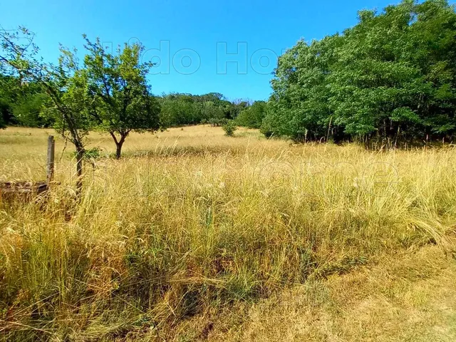 Eladó mezőgazdasági ingatlan Siófok, Töreki 3030 nm