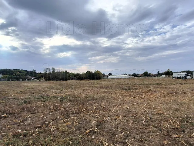 Eladó telek Balatonszabadi, Fokszabadi 1500 nm