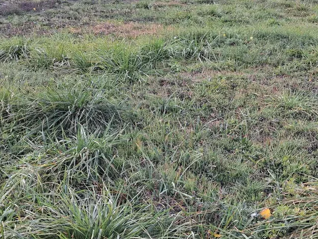 Eladó telek Balatonföldvár 720 nm