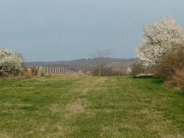 Eladó telek Balatonszárszó 3396 nm