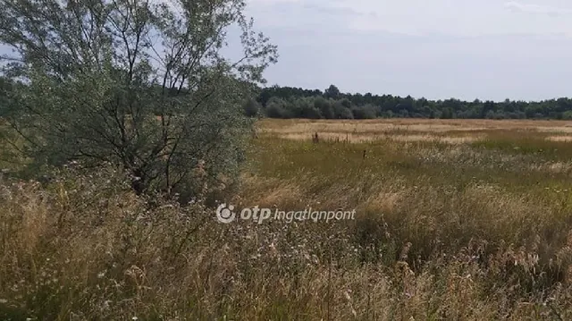 Eladó mezőgazdasági ingatlan Újlőrincfalva 1000 nm