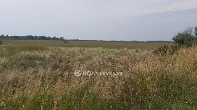 Eladó mezőgazdasági ingatlan Újlőrincfalva 1000 nm