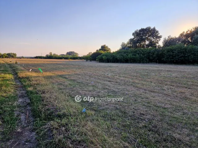 Eladó kereskedelmi és ipari ingatlan Polgár 21778 nm