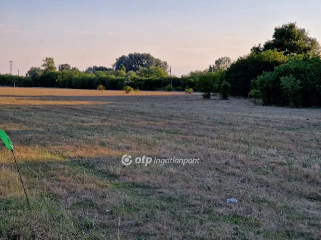 Eladó kereskedelmi és ipari ingatlan Polgár 21778 nm