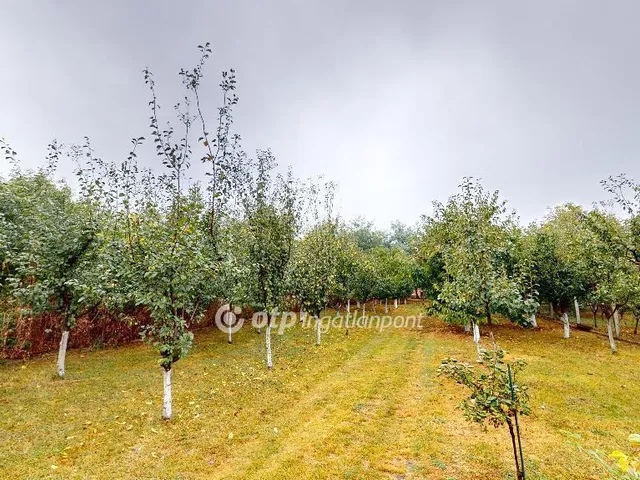 Eladó ház Alsóvadász 170 nm