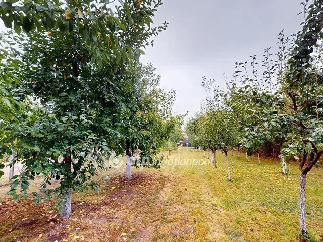 Eladó ház Alsóvadász 170 nm