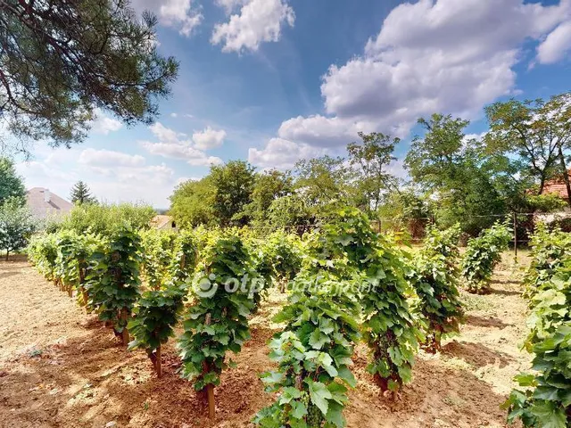 Eladó ház Tarcal 170 nm