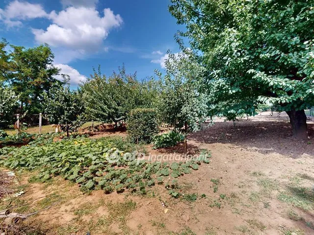 Eladó ház Tarcal 170 nm