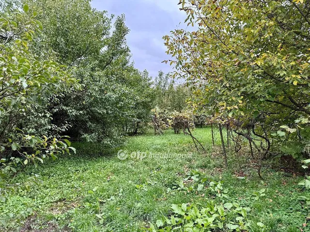 Eladó ház Sajópetri 150 nm