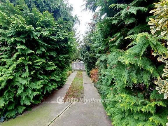 Eladó ház Alsózsolca 138 nm