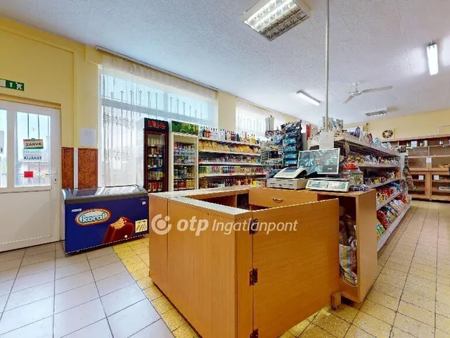 Eladó kereskedelmi és ipari ingatlan Igrici 140 nm