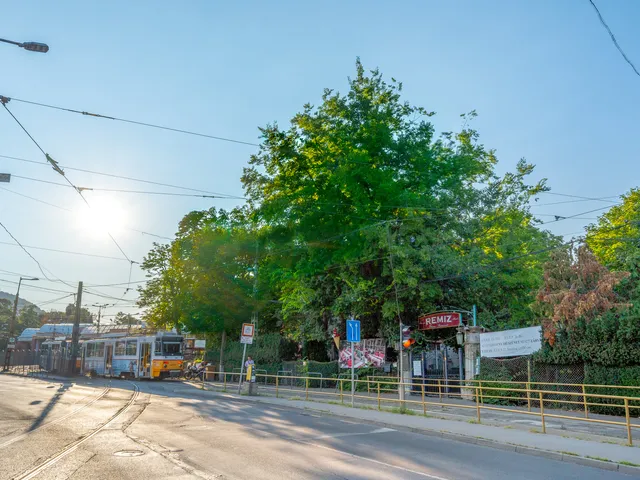 Eladó kereskedelmi és ipari ingatlan Budapest II. kerület, Szépilona 720 nm