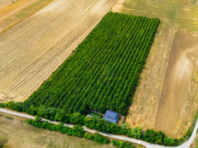 Eladó mezőgazdasági ingatlan Csabdi 160 nm