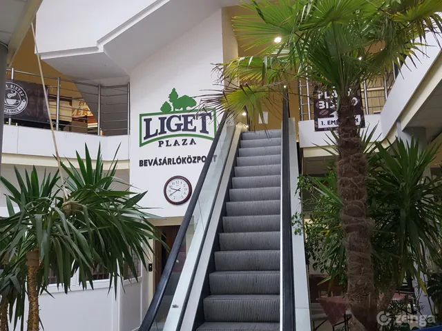 Kiadó kereskedelmi és ipari ingatlan Gyenesdiás 25 nm