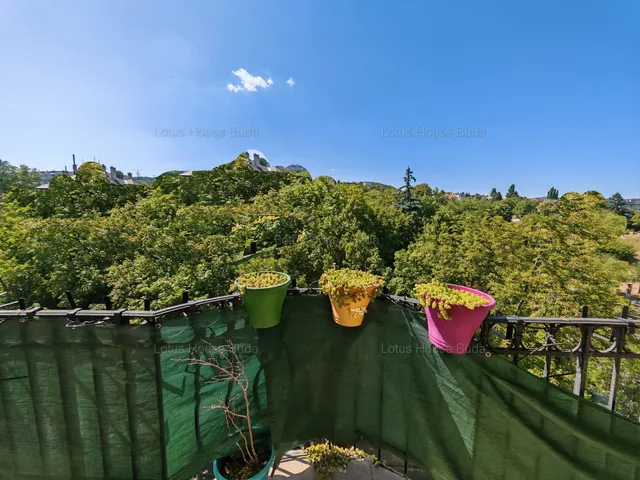 Kiadó lakás Budapest XII. kerület, Németvölgy 90 nm
