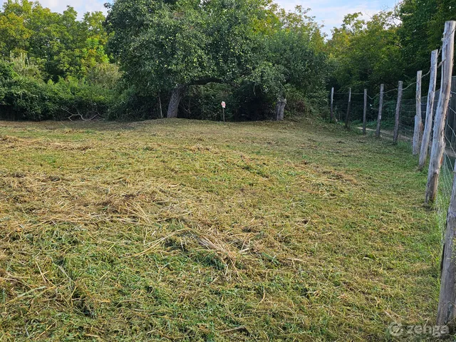 Eladó telek Váralja, Kossuth Lajos utca 2500 nm