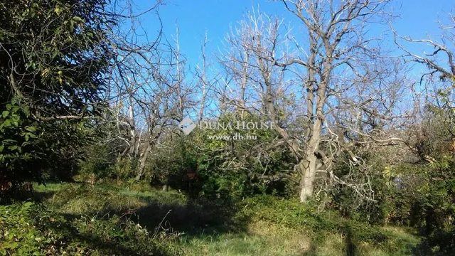 Eladó telek Pilismarót 6563 nm