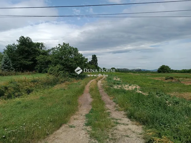 Eladó telek Papkeszi 5650 nm
