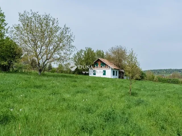 Kiadó ház Budakeszi 150 nm