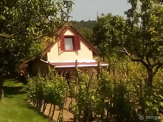 Eladó telek Somló-hegy 1700 nm