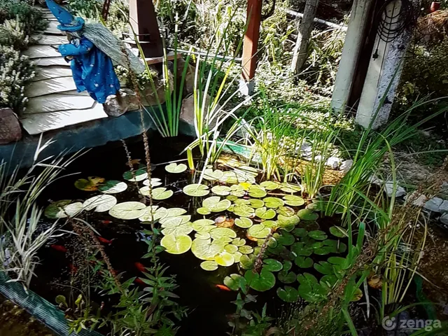 Eladó ház Szekszárd, Csatár 220 nm