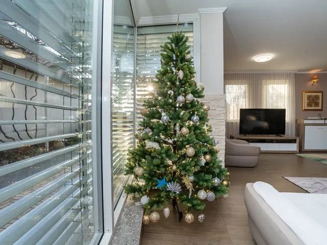 Eladó ház Kiskunmajsa, Szent László utca 303 nm