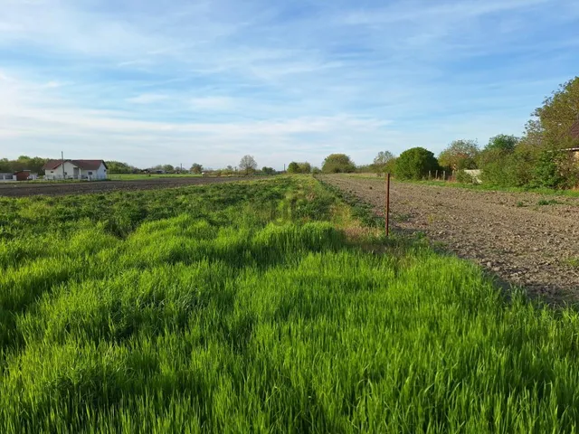 Eladó telek Ráckeve 1384 nm