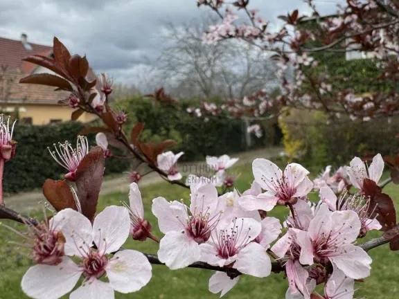 Eladó ház Budapest XVIII. kerület, Kossuth Ferenc-telep 150 nm