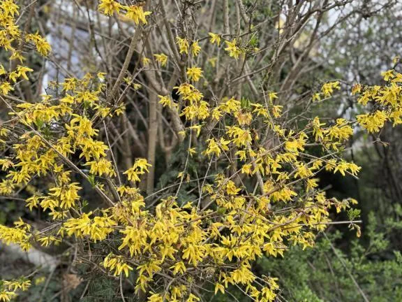 Eladó ház Budapest XVIII. kerület, Kossuth Ferenc-telep 150 nm