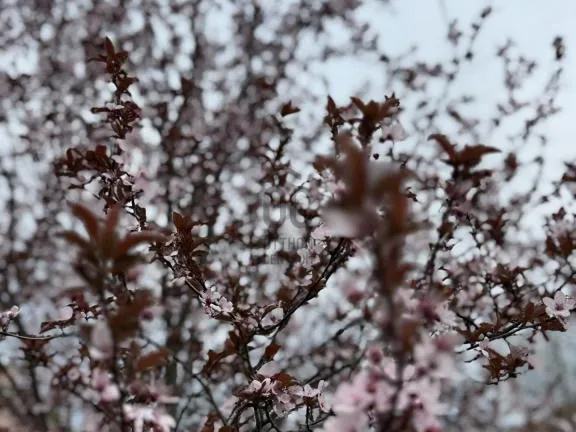 Eladó ház Budapest XVIII. kerület, Kossuth Ferenc-telep 150 nm