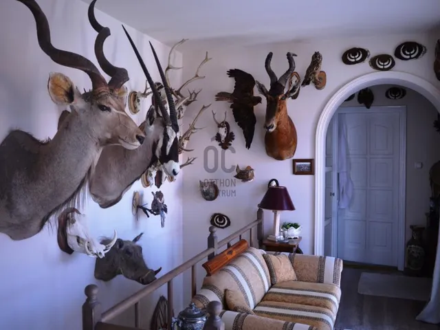 Eladó ház Budapest XVIII. kerület, Miklóstelep 207 nm