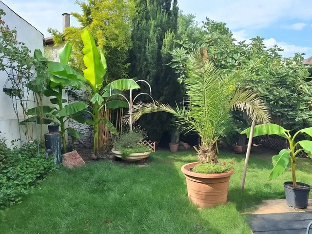 Eladó ház Budapest XX. kerület, Gubacsipuszta 200 nm