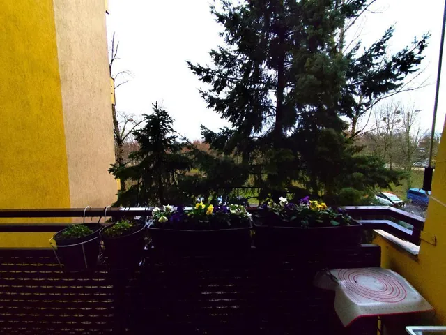 Eladó lakás Budapest XXI. kerület, Csillagtelep 63 nm