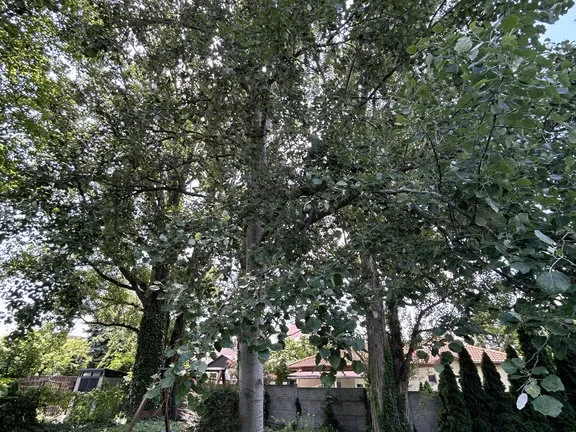 Eladó ház Budapest XVII. kerület, Rákoskeresztúr 350 nm