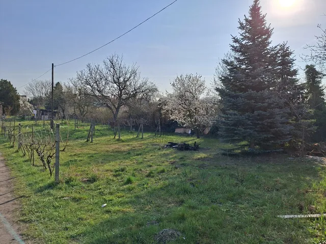 Eladó ház Budapest XXI. kerület, Háros 28 nm