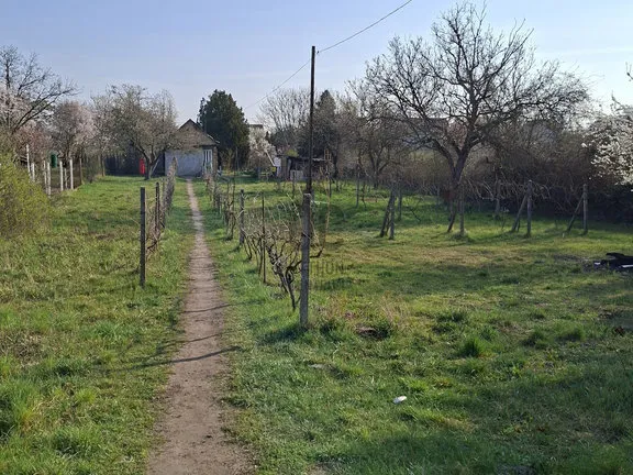 Eladó ház Budapest XXI. kerület, Háros 28 nm