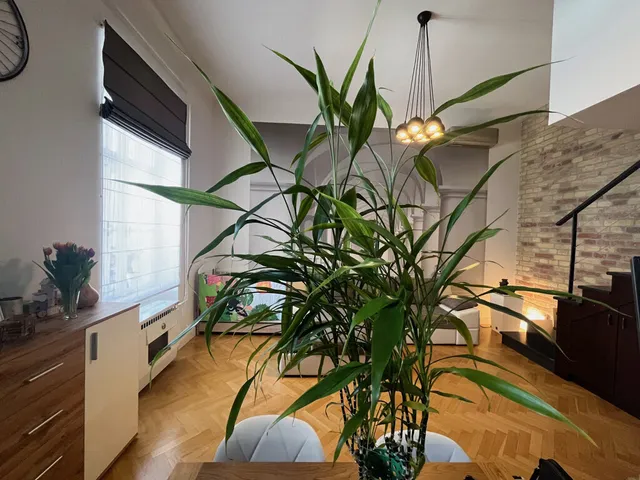 Eladó lakás Budapest VIII. kerület 30 nm