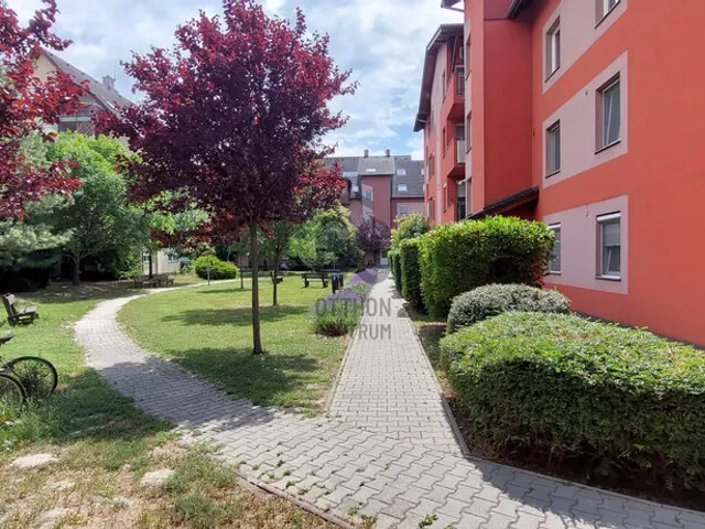 Eladó lakás Szigetszentmiklós 73 nm