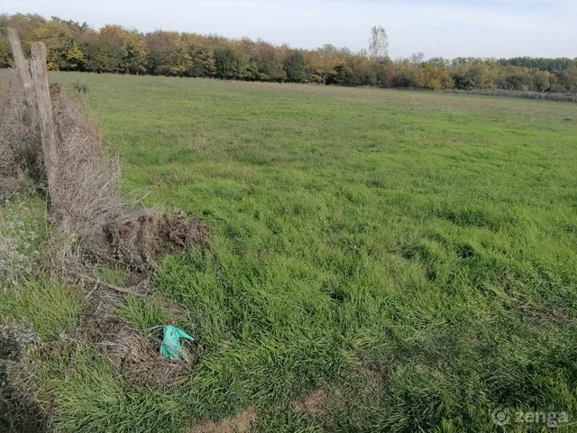 Eladó telek Szeged, Szőreg, Ezüsttó u. 2778 nm