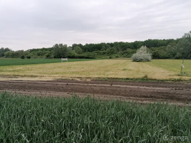 Eladó mezőgazdasági ingatlan Szeged, Szőreg 3004 nm
