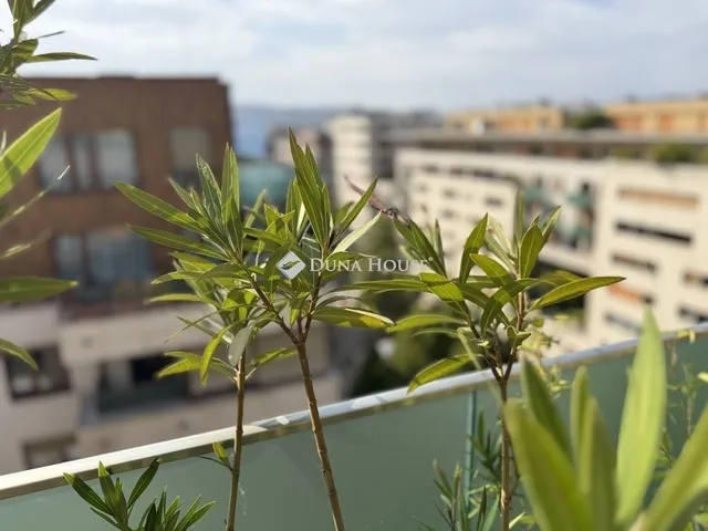 Eladó lakás Budapest VIII. kerület, Corvin negyed 164 nm