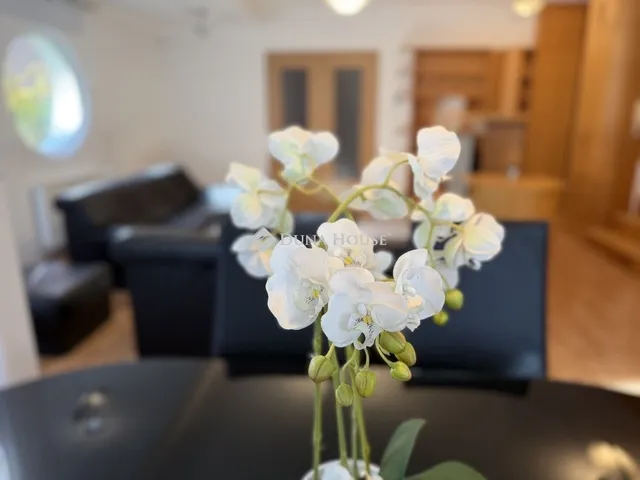 Kiadó lakás Budapest III. kerület, Csillaghegy 122 nm