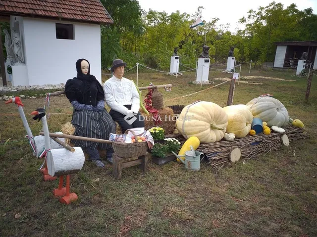 Eladó telek Farmos 3769 nm