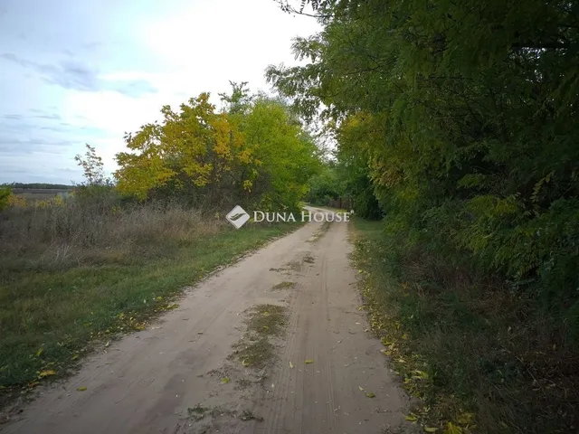 Eladó telek Farmos 3769 nm