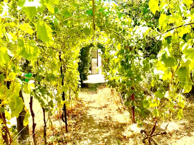 Eladó ház Velence, Sáárgaföldes ut 4/1 97 nm