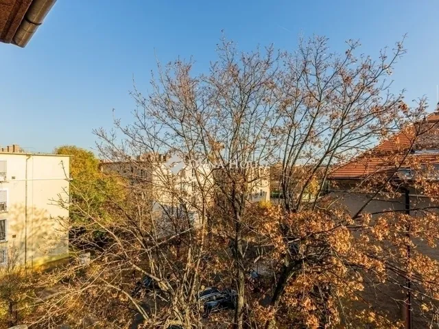 Eladó lakás Budapest XIV. kerület 130 nm