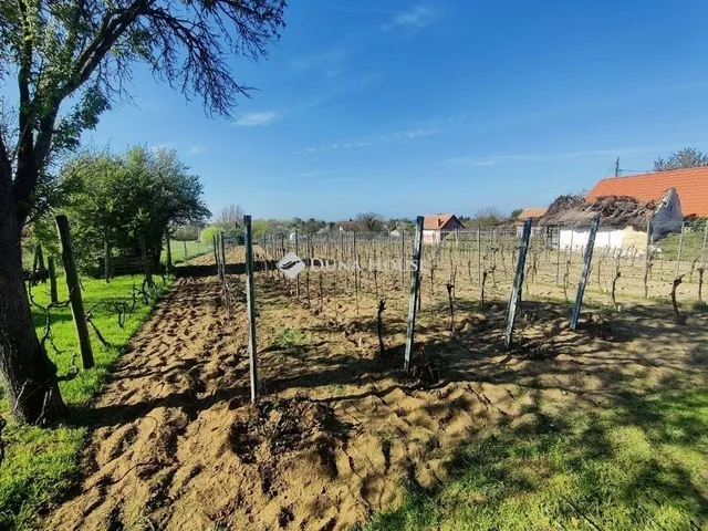 Eladó mezőgazdasági ingatlan Monor 49 nm