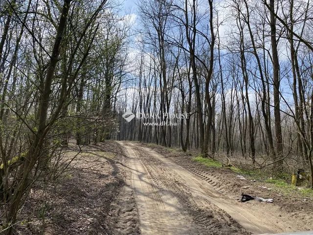 Eladó telek Debrecen 230000 nm