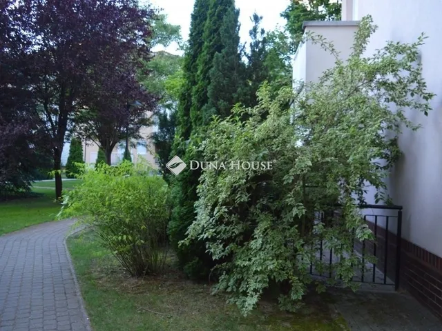 Kiadó lakás Debrecen, Nagyerdő 42 nm