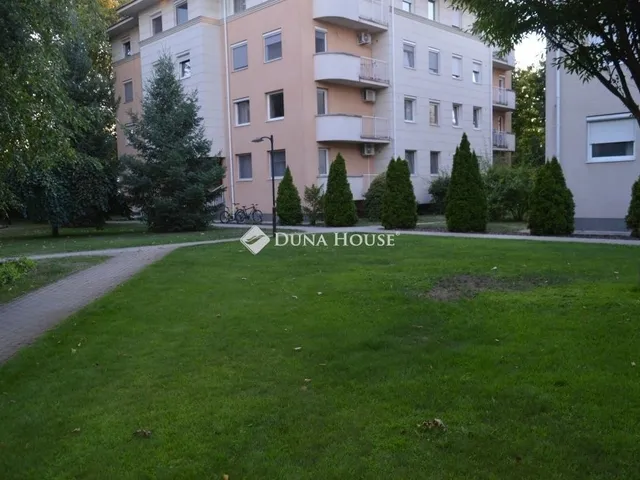 Kiadó lakás Debrecen, Nagyerdő 42 nm